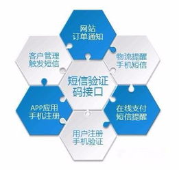 為什么需要這么多的驗證碼？——數(shù)字文化創(chuàng)意內(nèi)容應(yīng)用服務(wù)的視角